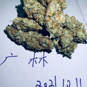 【广林独家】
