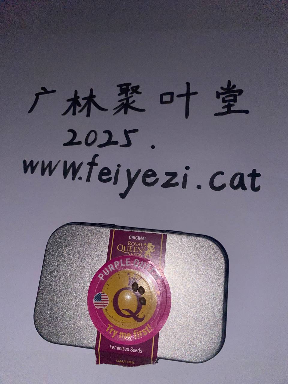 【邮寄种子】紫色皇后