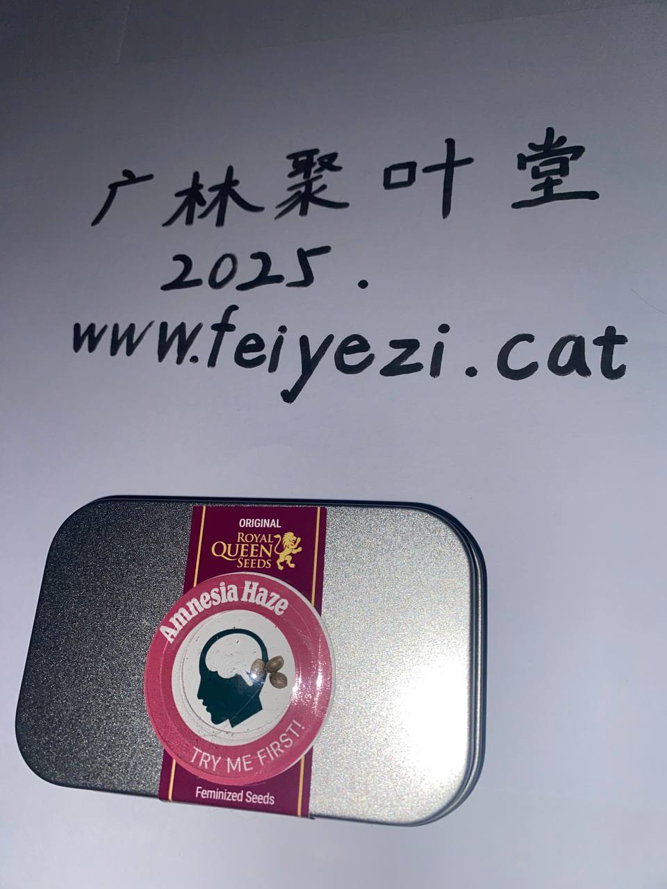 【邮寄种子】失忆阴霾