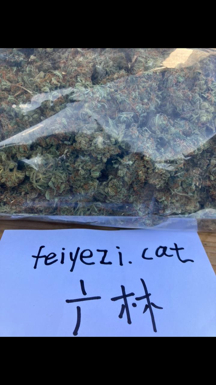【广东】库什kush