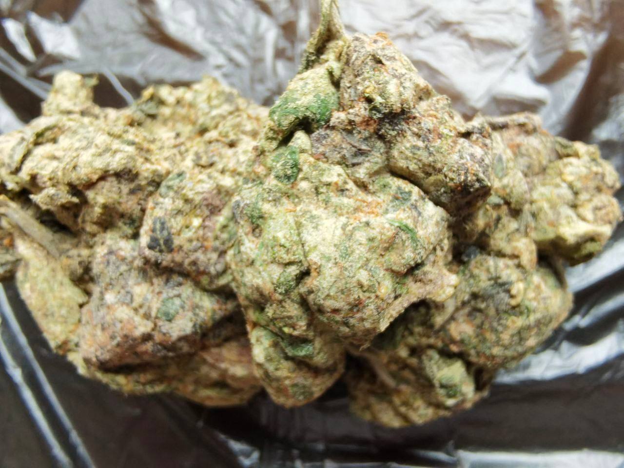 【广州/深圳/珠海/中山】Kush Mints