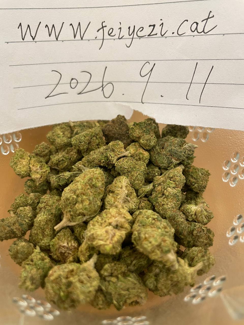 【多地区】🍪Cookies