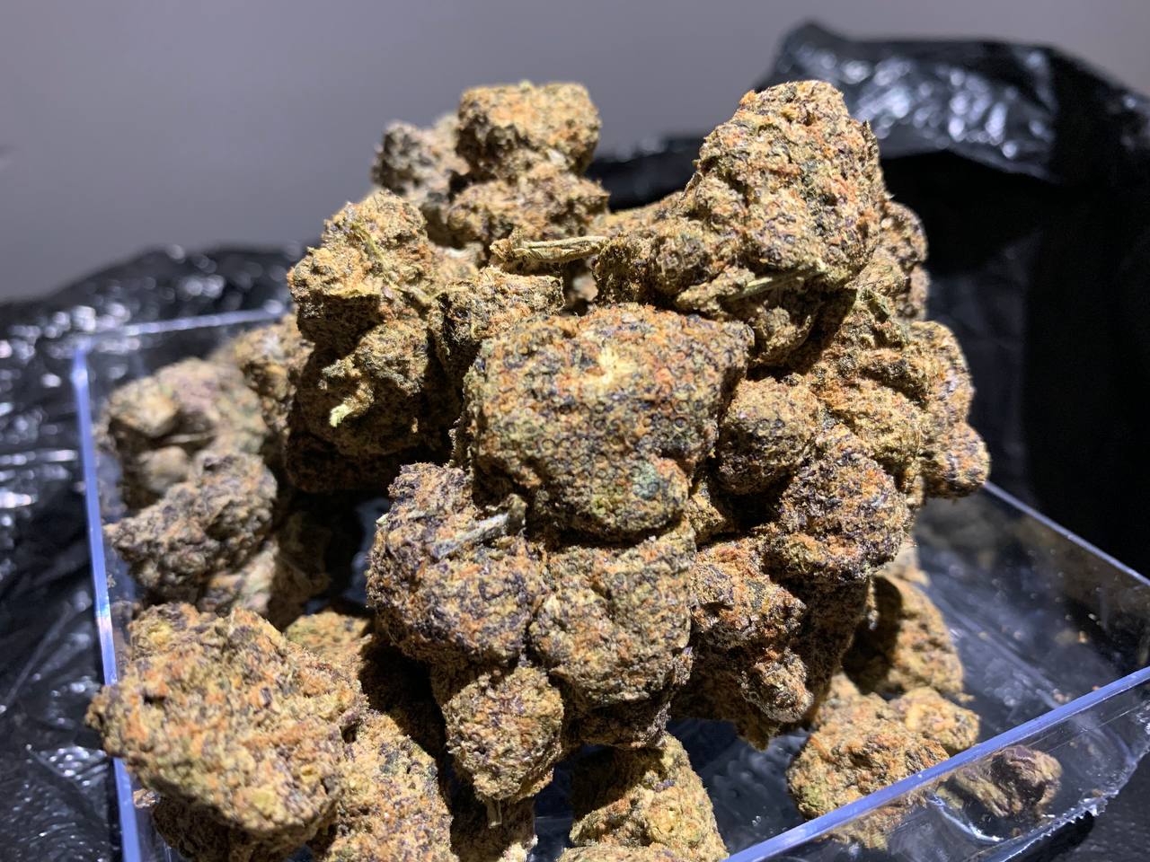 【天津/南京】紫塞圣杯