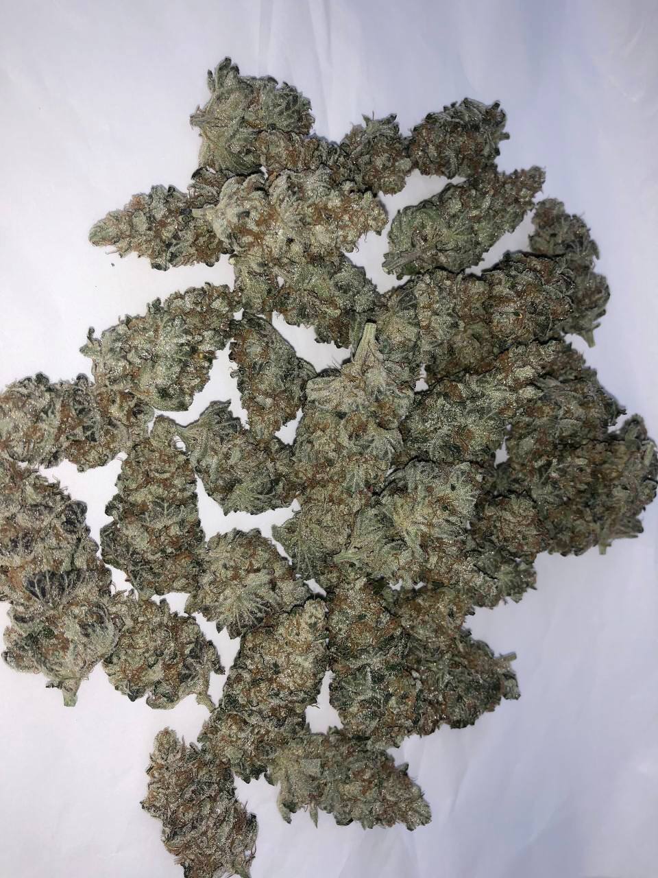【多地区】白朗茨