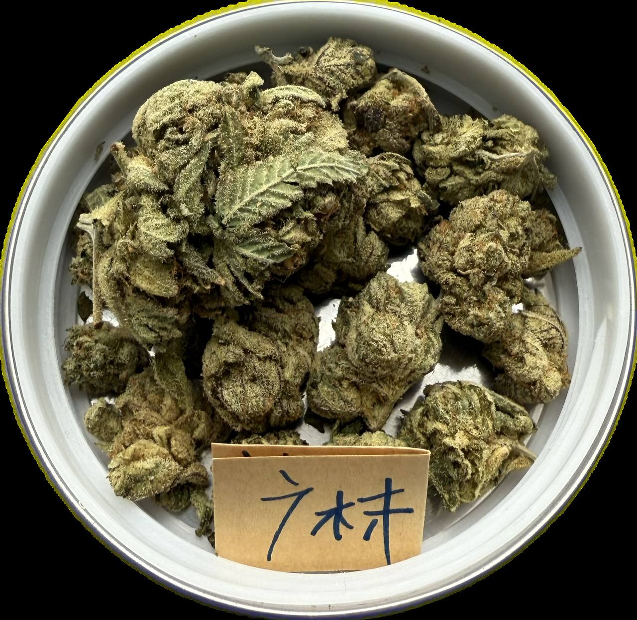 【郑州】Green Crack国产