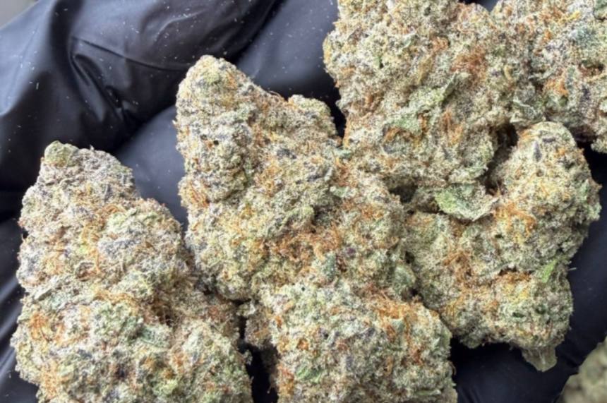 【多地区】北美奥利奥