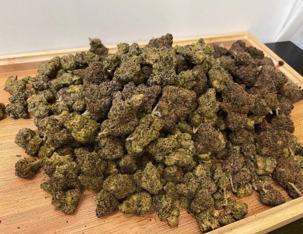 【多地区】奥巴马库什