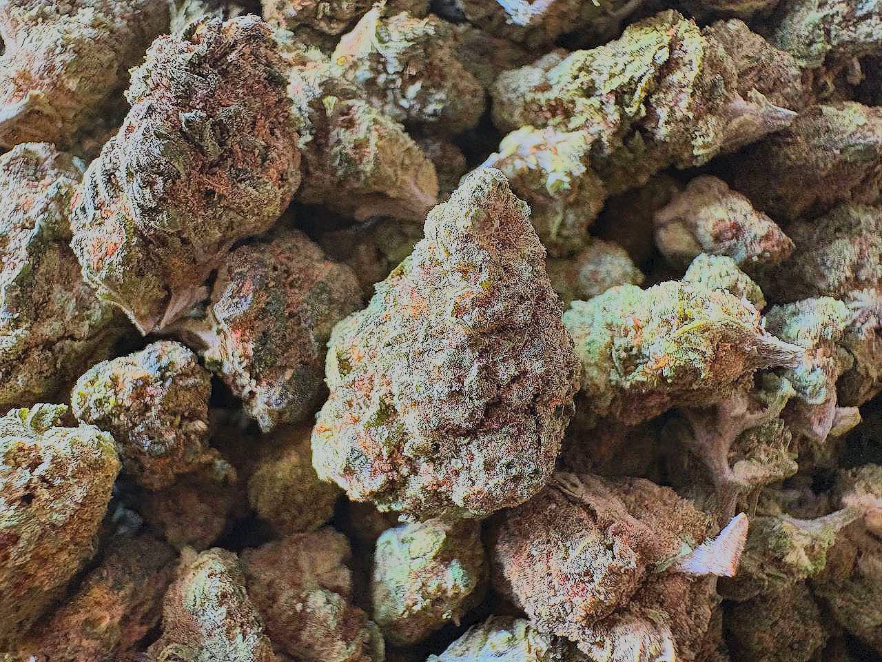 【多地区】 Lemon Gelato