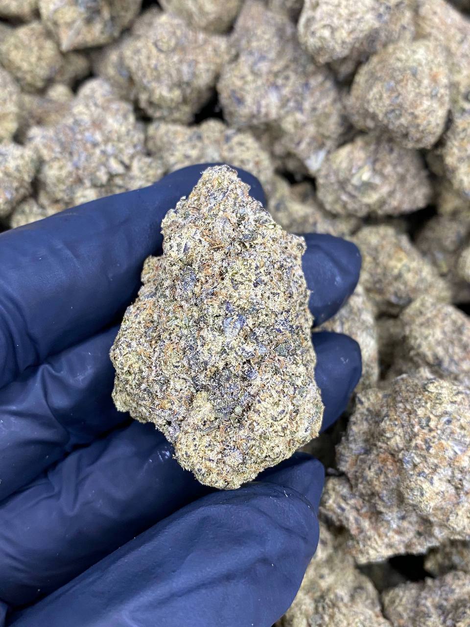 【多地区】绿水鬼