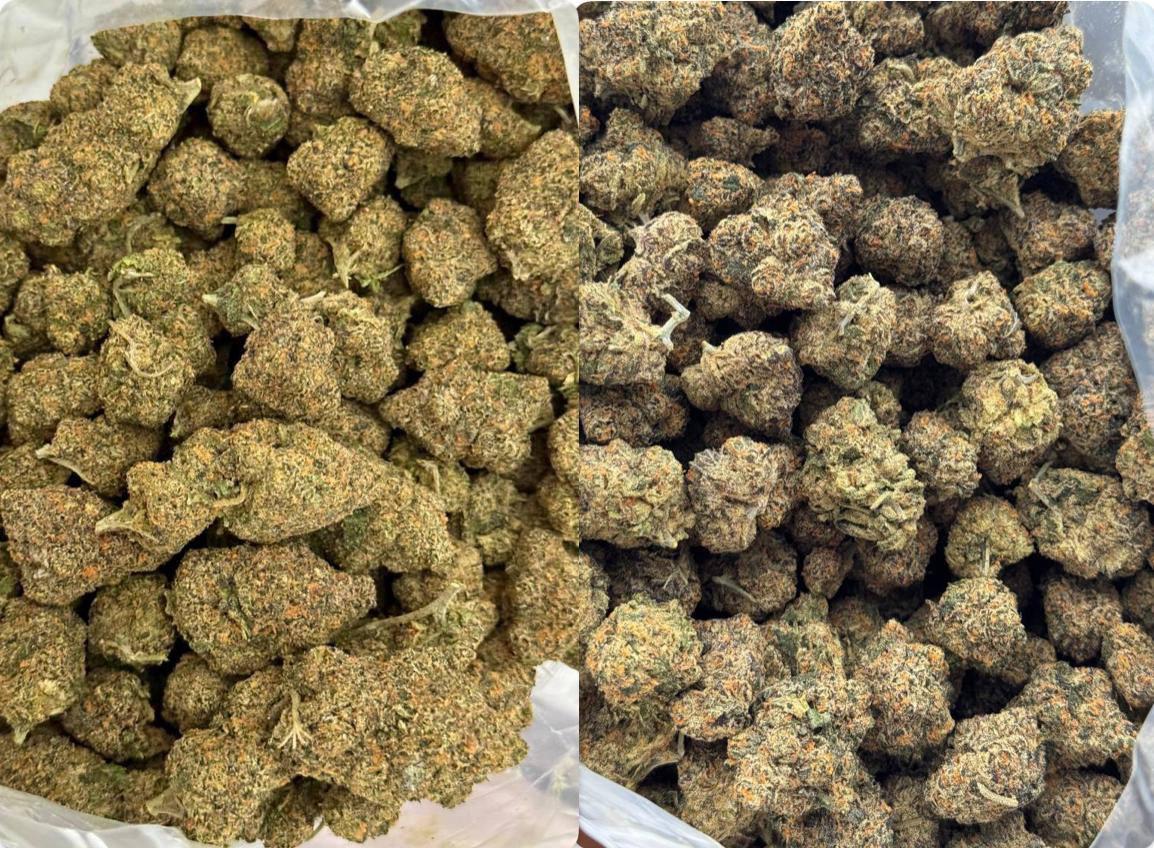 【多城市】Rainbow Sherbet和Black Cherry Runtz
