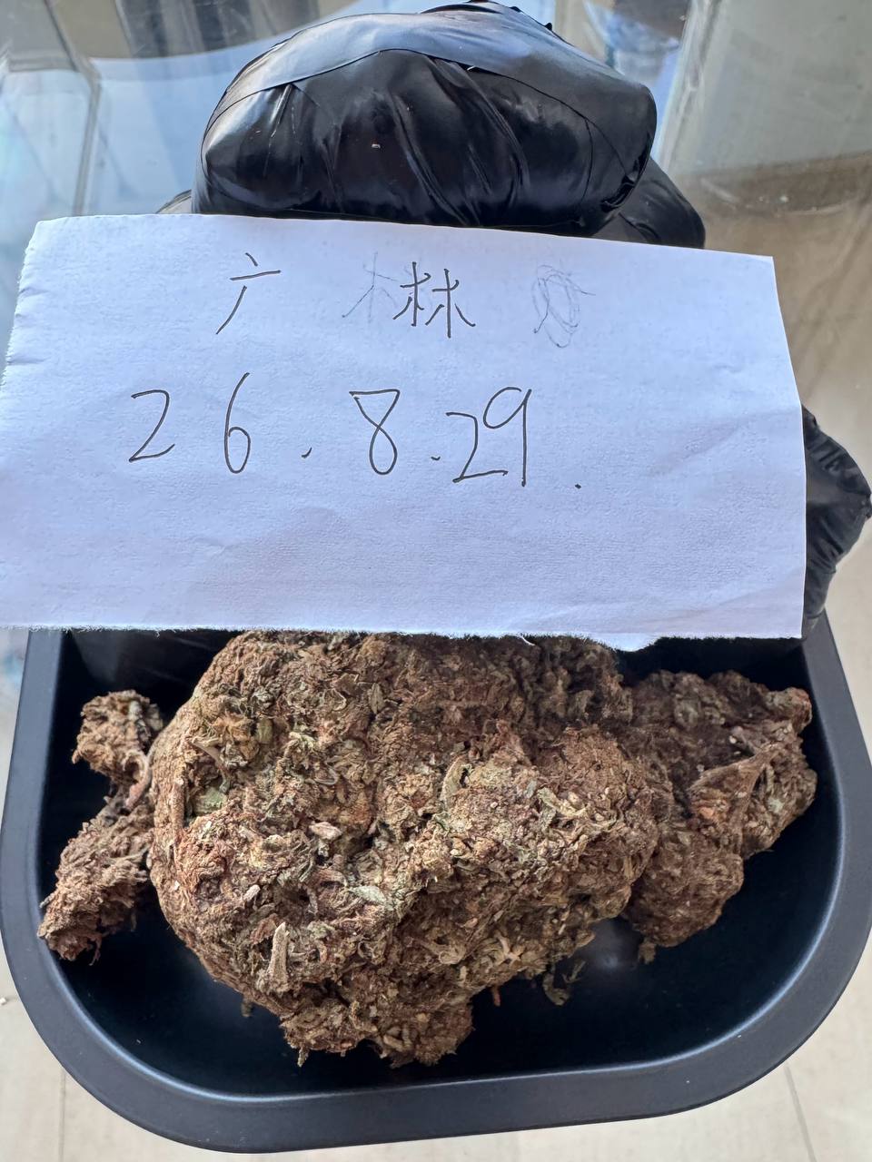 【长春】大猩猩4号