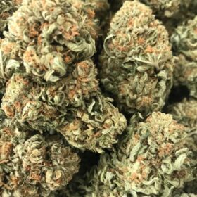 Girl Scout Cookies